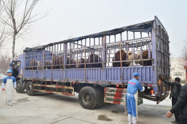 K8凯发·国际,k8凯发(中国)天生赢家一触即发,k8发赢家一触即发食品