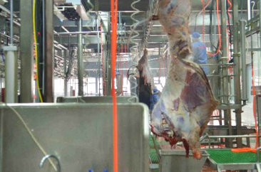 K8凯发·国际,k8凯发(中国)天生赢家一触即发,k8发赢家一触即发食品